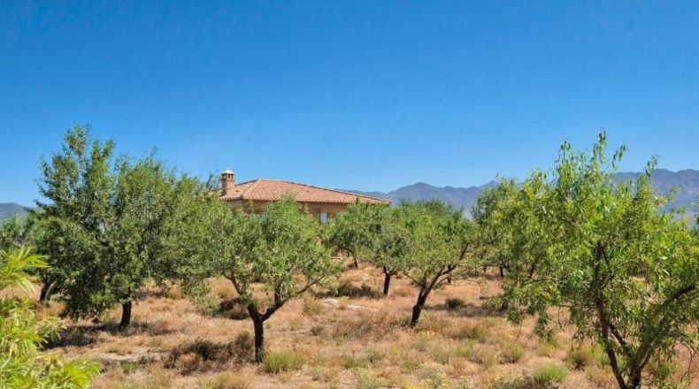 Granada - Albuñuelas - 4752m2