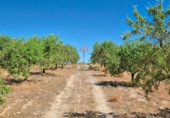 Отдельно стоящий дом с участком на продажу в городе Albuñuelas Фото