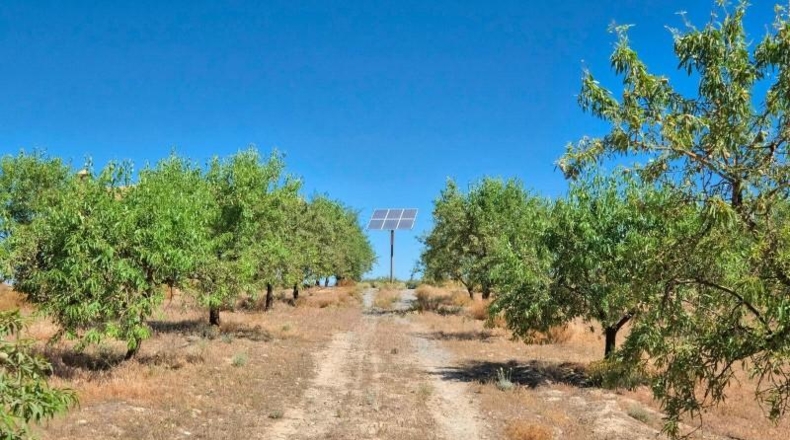 Granada - Albuñuelas - 4752m2