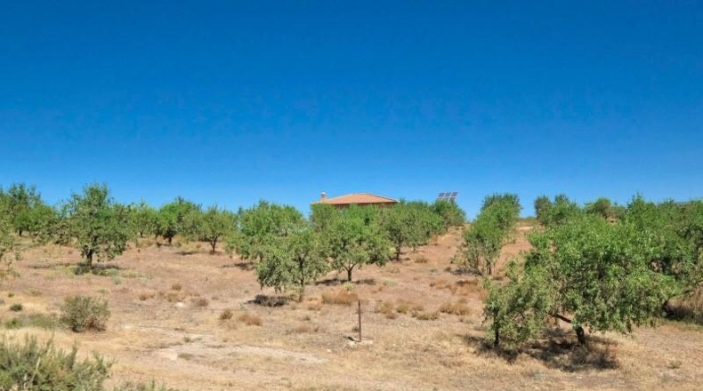 Granada - Albuñuelas - 4752m2
