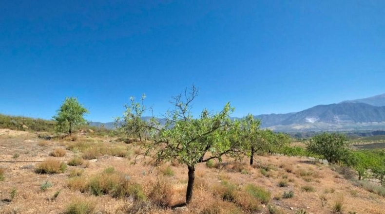Granada - Albuñuelas - 4752m2
