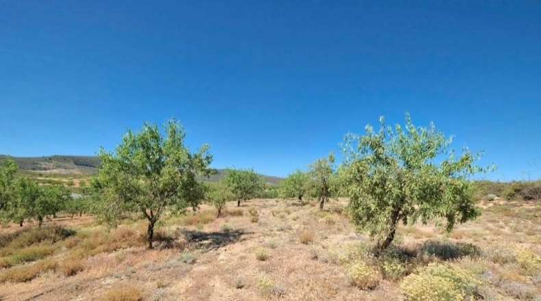 Granada - Albuñuelas - 4752m2