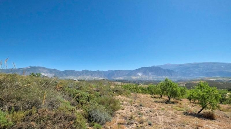 Granada - Albuñuelas - 4752m2