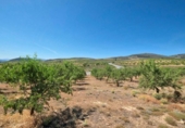 Отдельно стоящий дом с участком на продажу в городе Albuñuelas Фото