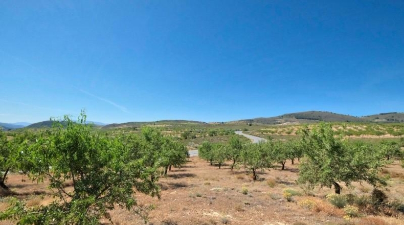 Granada - Albuñuelas - 4752m2