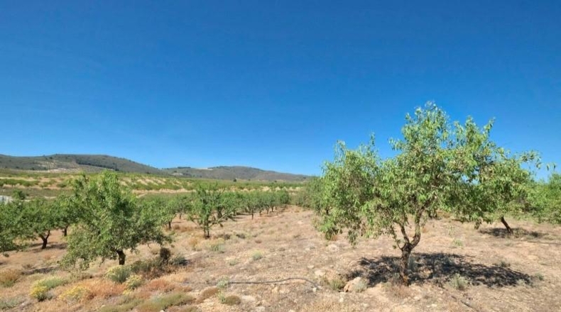 Granada - Albuñuelas - 4752m2