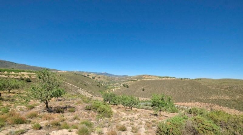 Granada - Albuñuelas - 4752m2