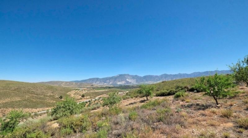 Granada - Albuñuelas - 4752m2