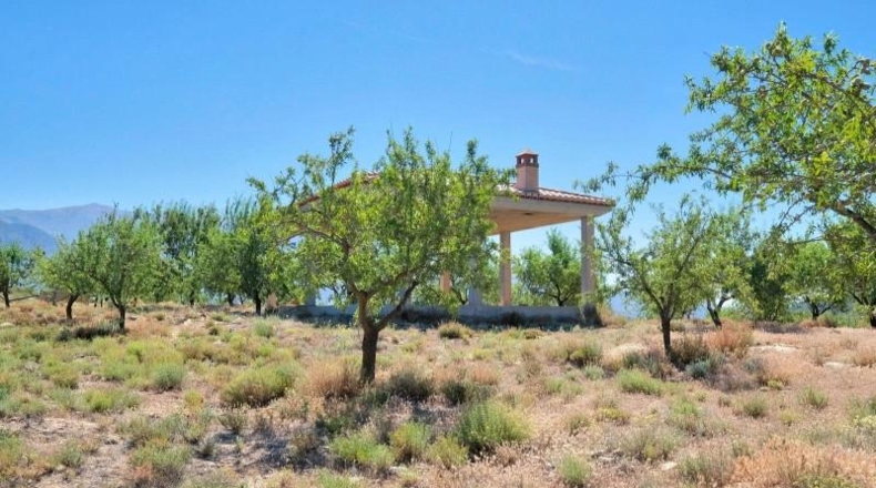 Granada - Albuñuelas - 4752m2
