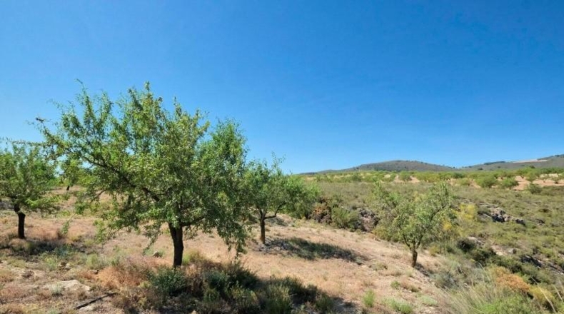 Granada - Albuñuelas - 4752m2