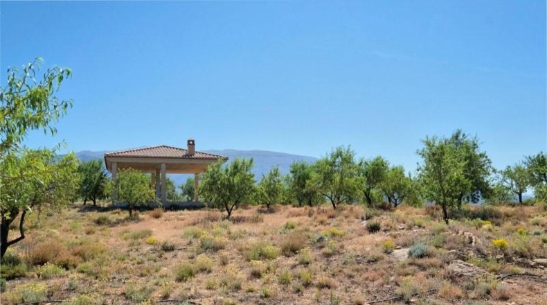 Granada - Albuñuelas - 4752m2