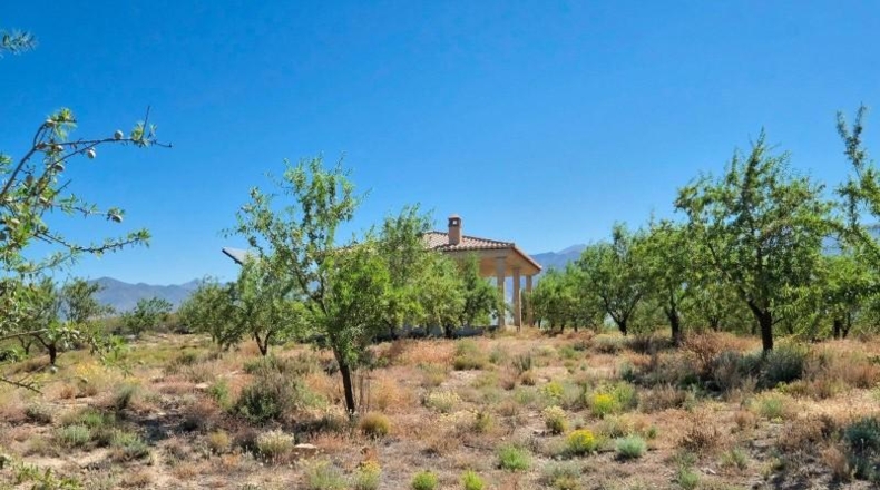 Granada - Albuñuelas - 4752m2