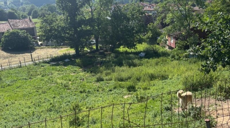 Cantabria - Villabáñez - 1662m2