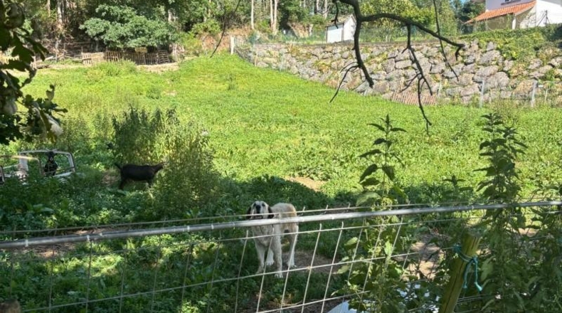 Cantabria - Villabáñez - 1662m2