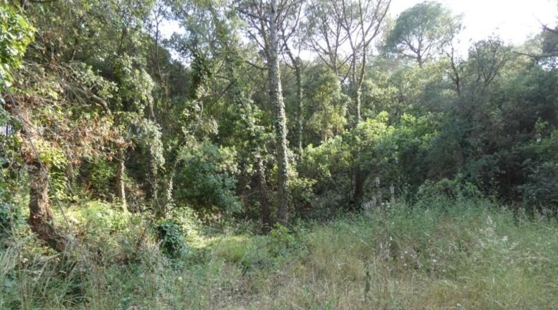 Córdoba - Palma del Río - 626m2