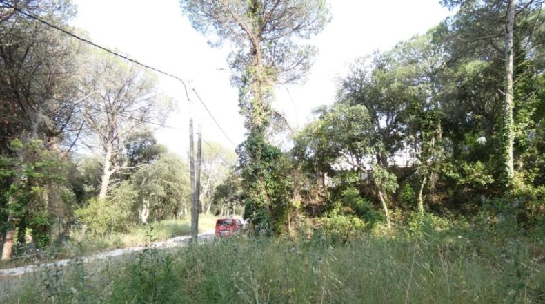 Córdoba - Palma del Río - 626m2