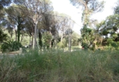 Non-developable land for sale on España, Calonge, ref: TR277411 photo