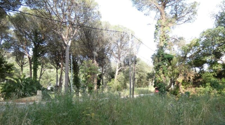 Córdoba - Palma del Río - 626m2