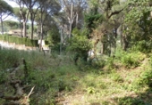 Non-developable land for sale on España, Calonge, ref: TR277411 photo