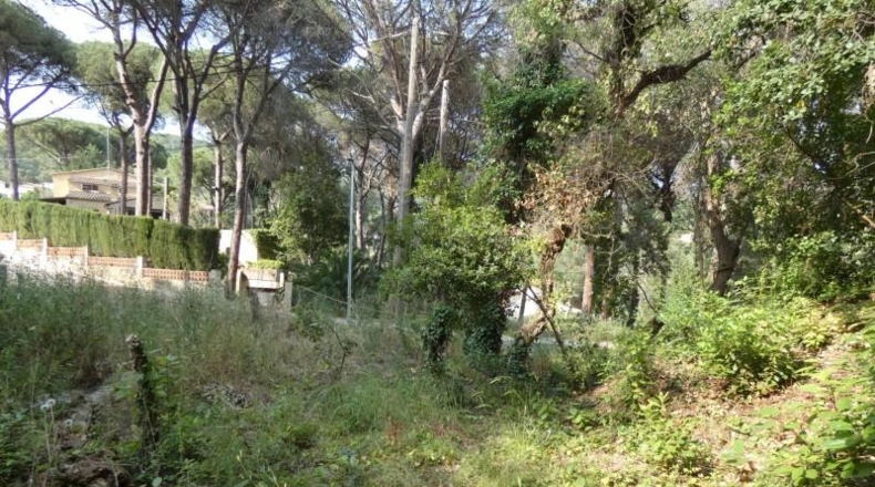 Córdoba - Palma del Río - 626m2