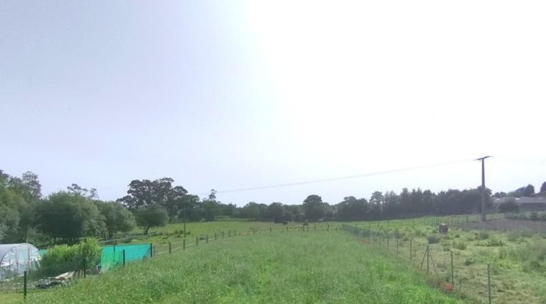 Asturias - Villaviciosa - 1887m2