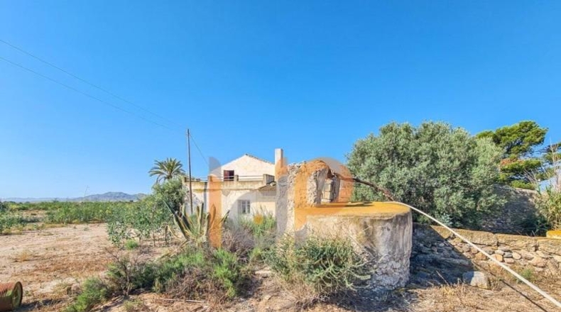 Almería - Huércal-Overa - 30000m2