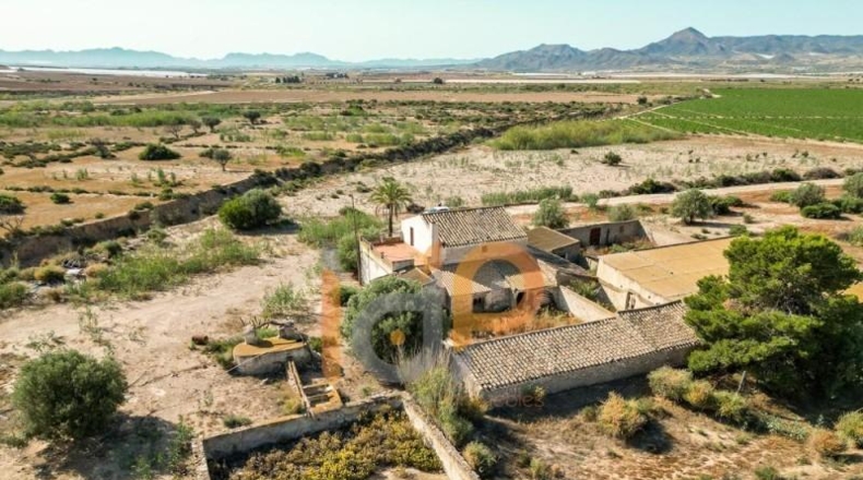 Almería - Huércal-Overa - 30000m2