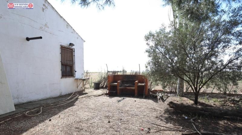 Ciudad Real - Alcázar de San Juan - 1452m2