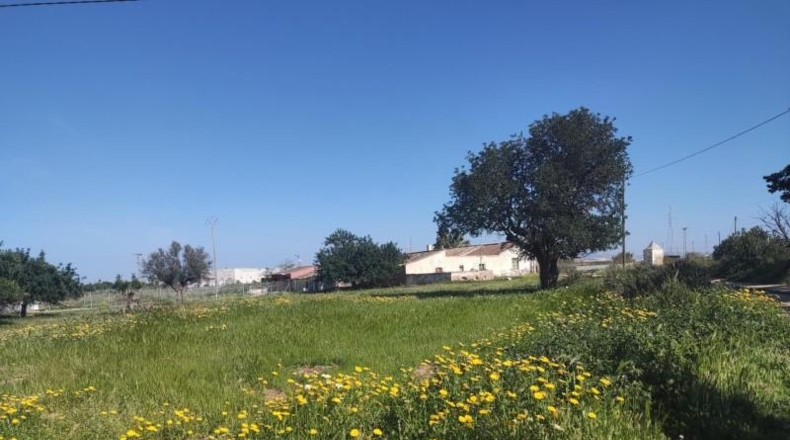 Murcia - Cartagena - 2700m2