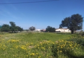Country house with land for sale on España, Cartagena, ref: TR411203 photo