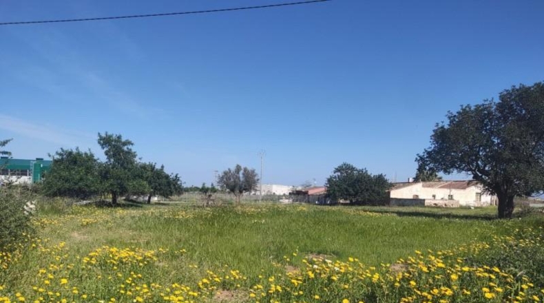 Murcia - Cartagena - 2700m2