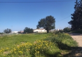 Country house with land for sale on España, Cartagena, ref: TR411203 photo