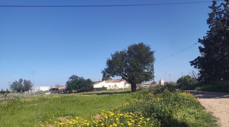 Murcia - Cartagena - 2700m2