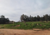 Country house with land for sale on España, Cartagena, ref: TR411203 photo