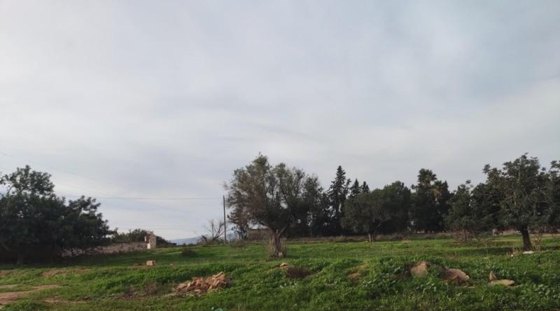 Murcia - Cartagena - 2700m2