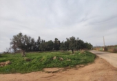 Country house with land for sale on España, Cartagena, ref: TR411203 photo