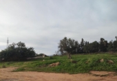 Country house with land for sale on España, Cartagena, ref: TR411203 photo