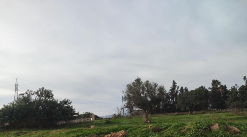 Murcia - Cartagena - 2700m2