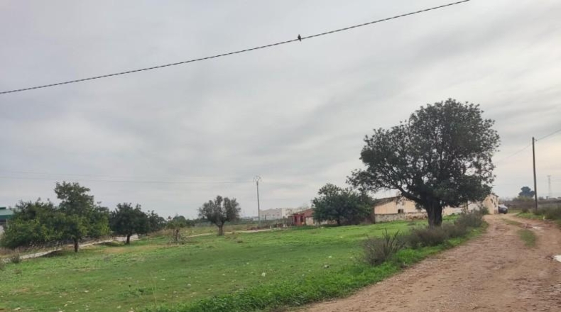 Murcia - Cartagena - 2700m2