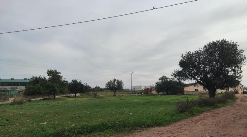 Murcia - Cartagena - 2700m2