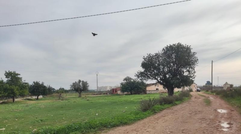 Murcia - Cartagena - 2700m2