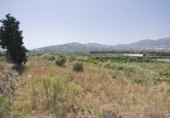 Detached villa with land for sale on España, Motril, ref: TR411207 photo