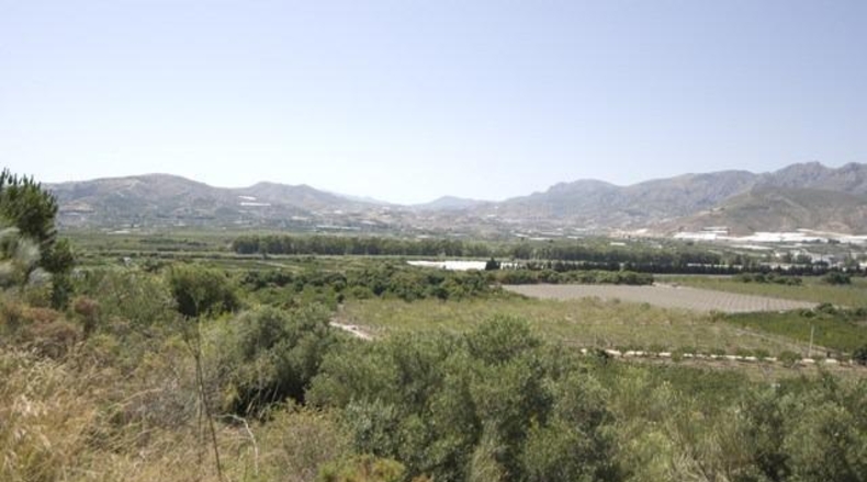Granada - Motril - 7770m2