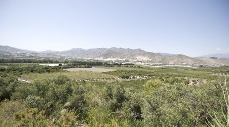 Granada - Motril - 7770m2