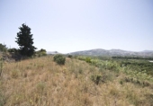 Detached villa with land for sale on España, Motril, ref: TR411207 photo