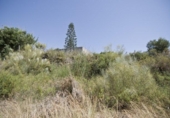Detached villa with land for sale on España, Motril, ref: TR411207 photo