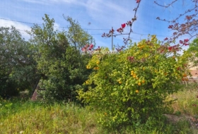 la Joncosa del Montmell 624&nbsp;m²