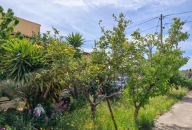 la Joncosa del Montmell 624&nbsp;m²
