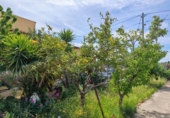 Chalet independiente con terreno en venta en la España, la Joncosa del Montmell, ref: TR411213 foto