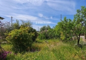 Chalet independiente con terreno en venta en la España, la Joncosa del Montmell, ref: TR411213 foto